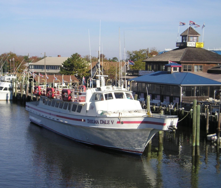 Dolphin Cruises & Tours near Rehoboth Beach Visit Delaware Beaches