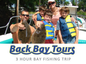 Back Bay Tours Bethany Beach