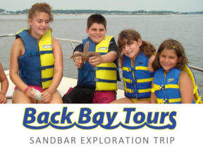 Back Bay Tours Bethany Beach