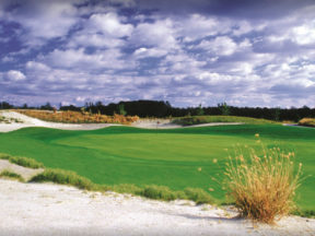 Bear Trap Dunes