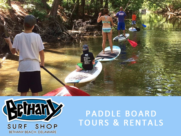 Bethany Beach Surf Shop Tours and Rentals