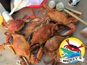 Mickey's Family Crab House Bethany Beach