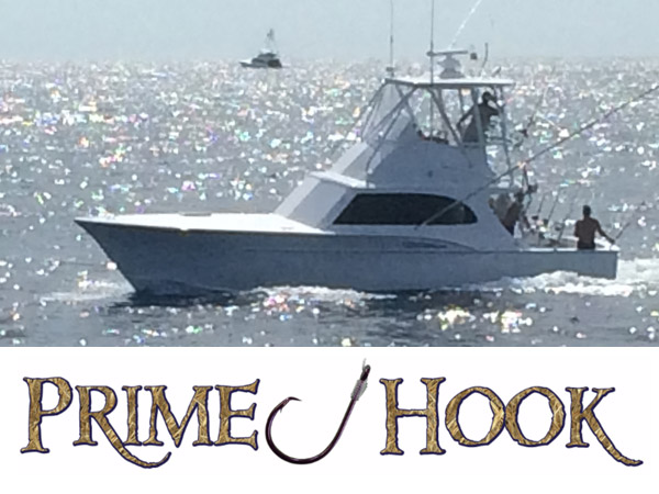 Prime Hook Fishing Charters - Delaware