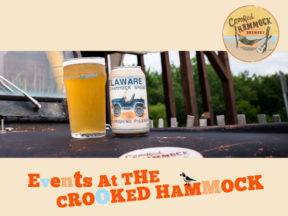 Crooked Hammock Live Music Events Rehoboth Beach DE