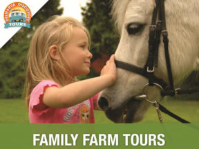 Rehoboth Beach Family Farm Tours