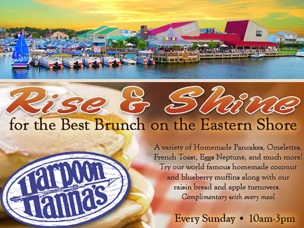 Sunday Brunch at Harpoon Hannas Fenwick Island