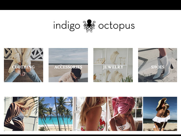 Indigo Octopus Fenwick Island DE