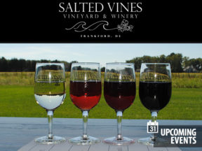 Salted Vines Vineyard & Winery - Friday Night Flights